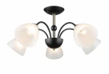 Потолочная люстра Imex MD.4188-5-S-BK+AB