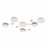 Потолочная люстра Evoluce Dossena SLE600102-06 (LED, 220V)