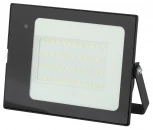 Прожектор уличный Эра LPR-041-1-65K-050 (LED, 220V, IP65)