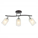 Потолочная люстра на штанге Citilux Фортуна CL156132 (220V)