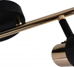 Спот Escada Brandy 684/2A 2x40Вт E14, металл/стекло, чёрный/золото