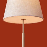 Настольная лампа с выключателем Freya Butler FR2057TL-01BG