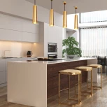 Подвесной светильник Eurosvet DLN106/DLN107 DLN107 GU10 золото (220V, на проводе, круглые)