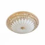 Потолочный светильник светодиодный с пультом с регулировкой цветовой температуры и яркости LED4U LED4U L1141-500 GD