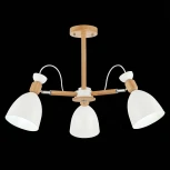 Потолочная люстра Evoluce Balcamo SLE103802-03 (220V)