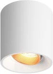 Накладной точечный светильник Denkirs DK3090-WBR (220V, круглые)