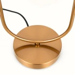 Интерьерная настольная лампа Freya Inversion FR5233TL-01BS (220V, выключатель, шар)