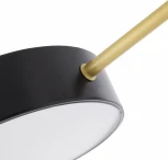 Потолочная люстра светодиодная на штанге Arte Milano Ferrara 252006/5 Bk/Bk (220V, круглые)