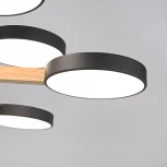 Потолочная люстра Wi-Fi на штанге Turna Dbl L12 Black By ImperiumLoft Turna-Dbl01 (LED, 220V, голосовое управление, умный дом - Алиса)