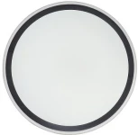 Потолочный светильник круглый Zortes Bella ZRS.1201.11 (LED, 220V, круглые, IP54)