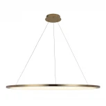 Подвесной светильник Loft IT Ring 10014XXL (LED, 220V, на тросе, кольцо)