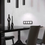 Рамка на 4 поста Platinum (черный алюминий) Werkel W0042608 (a059219)