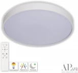 Потолочный светильник круглый светодиодный с пультом APL LED Toscana 3315.XM302-2-374/24W White (220V, круглые)