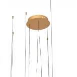 Подвесной светильник Loft IT Ring 10017/4S (LED, 220V, на тросе, кольцо)