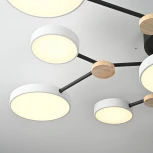 Потолочная люстра с пультом на штанге LED Lu Carte LC-11-1716