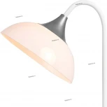 Торшер изогнутый Lussole Lgo Flagstaff LSP-0506 (220V, IP21)