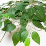 Настольная лампа с выключателем Lussole LGO Idaho SY2860