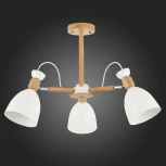 Потолочная люстра Evoluce Balcamo SLE103802-03 (220V)