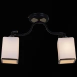 Потолочная люстра Reluce 32303-0.3-02