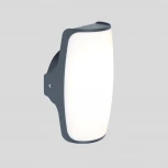 Настенный светильник уличный Oasis Light W1899