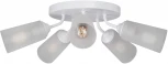 Потолочная люстра V3762-0/5PL Vitaluce (220V)
