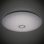 Потолочный светильник Citilux Старлайт Смарт CL703A203G