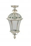 Потолочный светильник уличный Oasis Light ROMA L 95205LA Gw (220V, IP44)