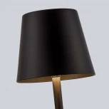 Настольная лампа с аккумулятором F-Promo Pyari 4615-1T (LED, 220V)