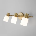 Спот на штанге Eurosvet Corso 20089/3 бронза (220V, выключатель)