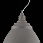 Подвесной светильник Maytoni Bellevue P534PL-01GR