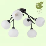 Потолочная люстра Lussole Loft Bagheria GRLSF-6283-06