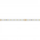 Светодиодная лента RT-A80-8mm 24V Day5000 (6 W/m, IP20, 2835, 5m) (Arlight, высок.эфф.150 лм/Вт) 024511(2)