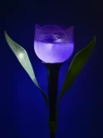 Грунтовый светильник на солнечной батарее Uniel USL-C-453/PT305 PURPLE TULIP (LED, цветы)