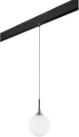 Трековый светильник однофазный 220V Lightstar Globo PRO813021 (шар)