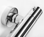 Термостат Wasserkraft Berkel 4822 для душа