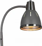 Торшер Reluce 03049-0.6-01B GY (220V)