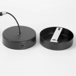 Потолочная люстра на штанге Lussole Antioch LSP-8849 (220V, IP21)