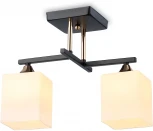 Потолочная люстра на штанге TRADITIONAL TR303112 Ambrella