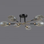 Потолочная люстра на штанге ILLUMICO IL0255-6CSQ-79 BK AB (220V)