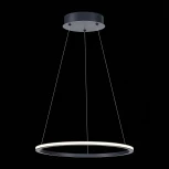 Подвесной светильник ST Luce St604 Out ST604.443.22 (LED, 220V, на тросе, кольцо)