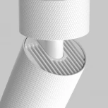 Потолочный спот Maytoni Artisan C082CL-01-GU10-W (220V, круглые)