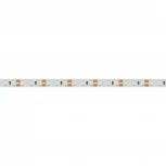 Светодиодная лента RT 2-5000 12V Blue 2x (3528, 600 LED, LUX) (Arlight, 9.6 Вт/м, IP20) 012330(1)