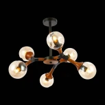 Потолочная люстра на штанге Evoluce Raquel SLE109402-06 (220V, шарики)