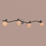 Спот на штанге Citilux Соната CL520541 (220V, цветы, круглые)