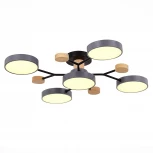 Потолочная люстра на штанге Evoluce Faema SLE6006-702-05