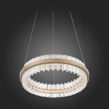 Подвесной светильник ST Luce Cherio SL383.203.01 (LED, 220V, на тросе)
