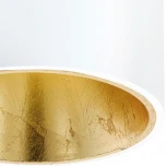 Потолочный светильник круглый Eglo Polasso 94503 (LED, 220V)