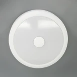 Настенно-потолочный светильник Citilux Фостер-1 CL706110