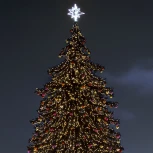 Гирлянда Ardecoled ARD-STRING-PRO 025855