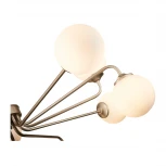 Потолочная люстра ST Luce Redjino SLE106203-12